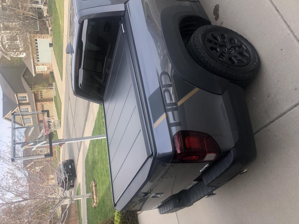 Peragon bed cover 1.jpg